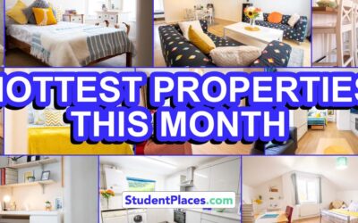 Hottest Student Properties of the Month – November